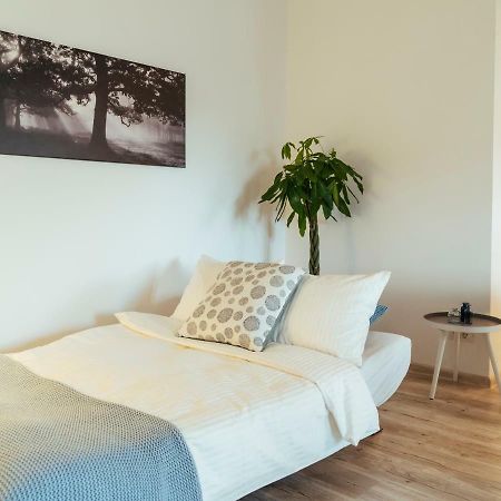 Bright And Spacious Central Apartment- Piata Amzei Bucharest Exterior photo